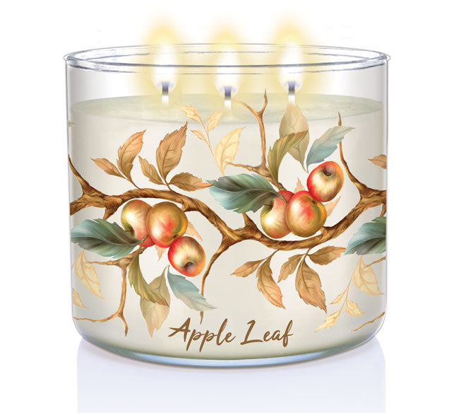 Apple Leaf | 3-wick Candle - Kringle Candle Company