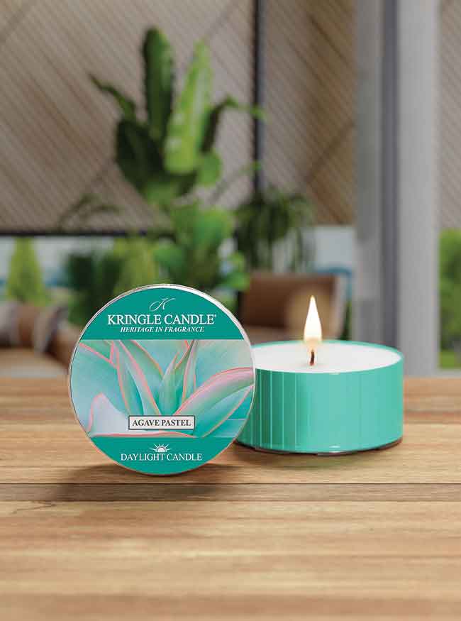 Agave Pastel | DayLight - Kringle Candle Company