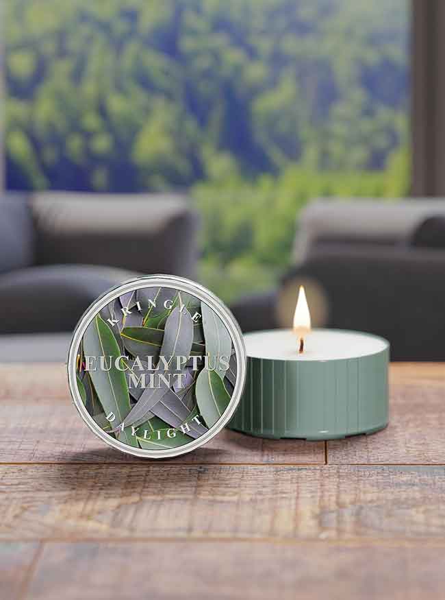 Eucalyptus Mint | DayLight - Kringle Candle Company