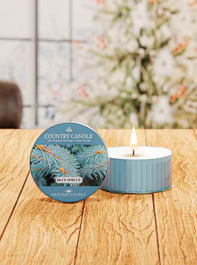 Blue Spruce | DayLight - Kringle Candle Company