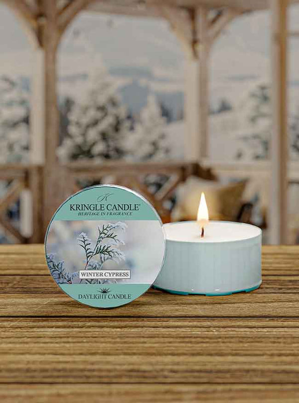 Winter Cypress | DayLight - Kringle Candle Company