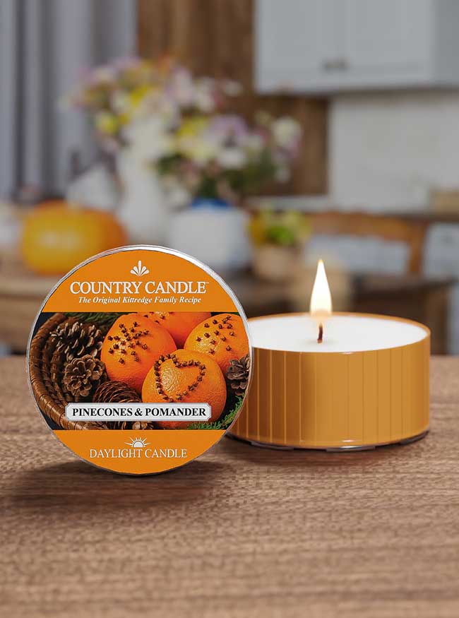 Pinecones & Pomander | DayLight - Kringle Candle Company