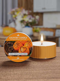 Pinecones & Pomander | DayLight - Kringle Candle Company