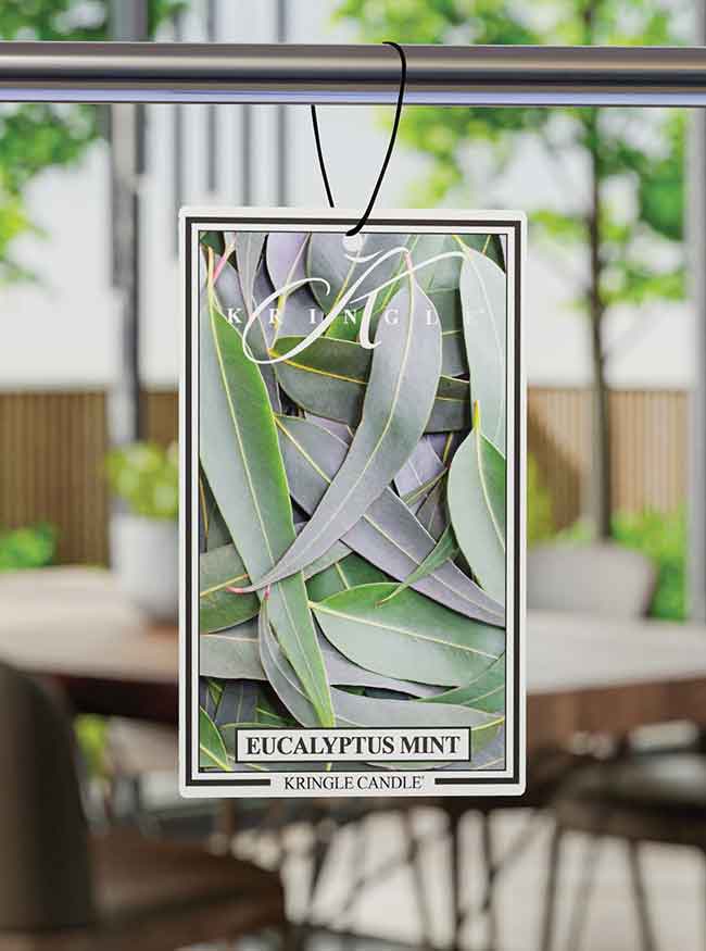 Eucalyptus Mint | Air Freshener - Kringle Candle Company