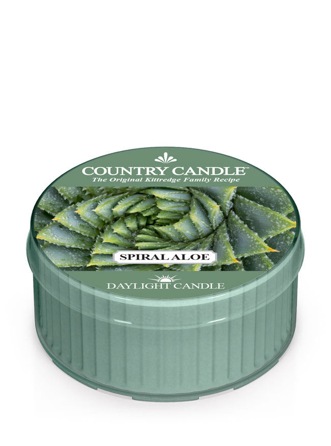 Spiral Aloe | DayLight - Kringle Candle Company