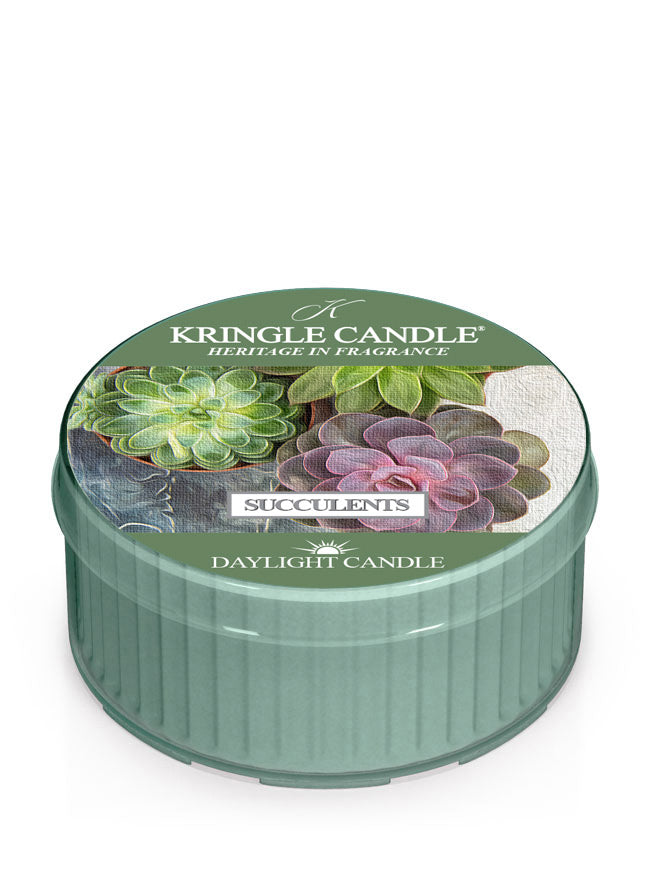 Succulents | DayLight - Kringle Candle Company