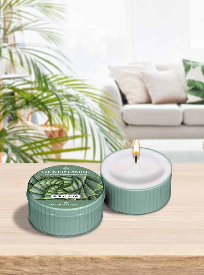 Spiral Aloe | DayLight - Kringle Candle Company